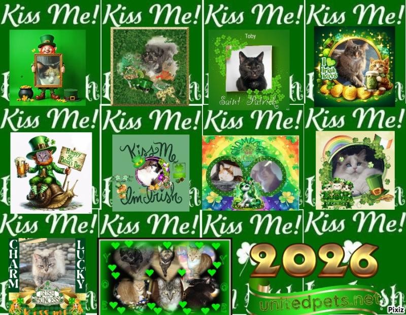 King Cicko of the zoza1958 family