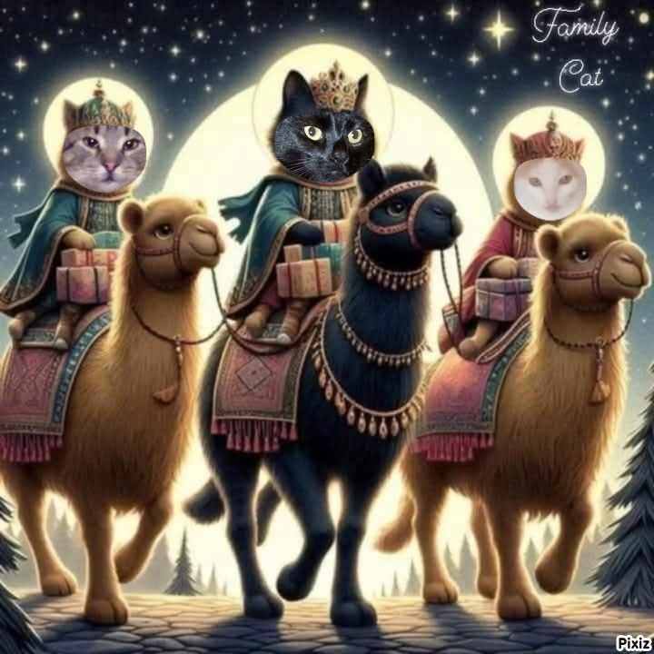 zoza1958 uploaded   1 year/s ago