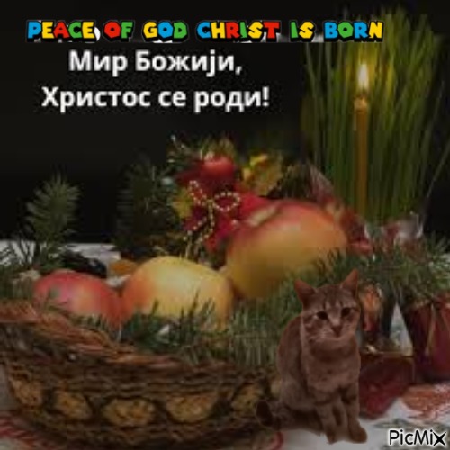 zoza1958 uploaded   1 year/s ago