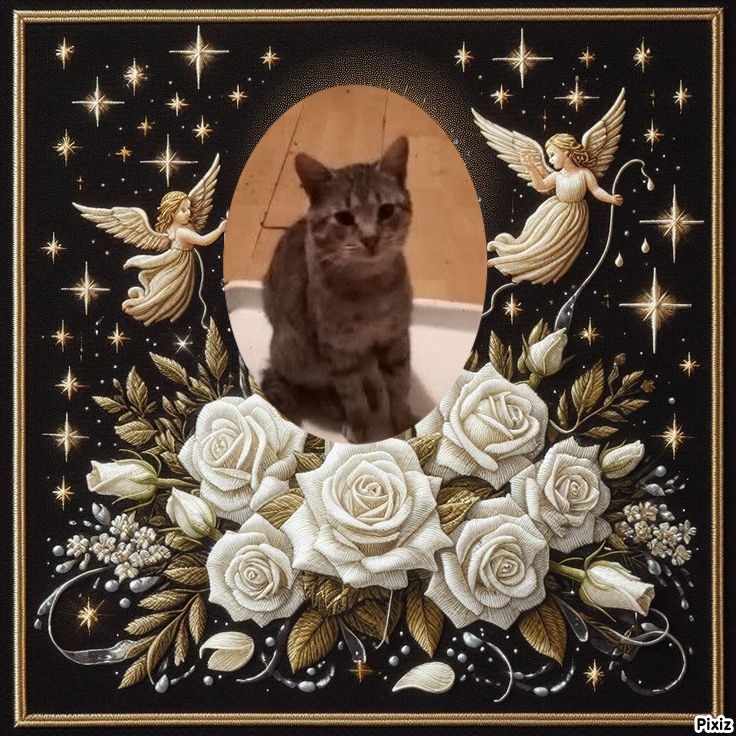 zoza1958 uploaded   60  day/s  ago