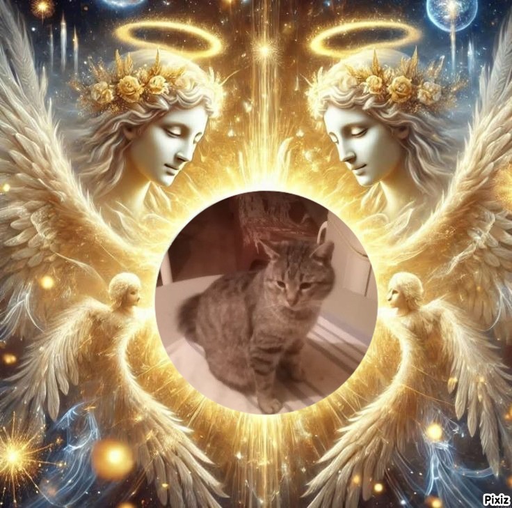 King Cicko of the zoza1958 family