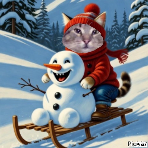 King Cicko of the zoza1958 family