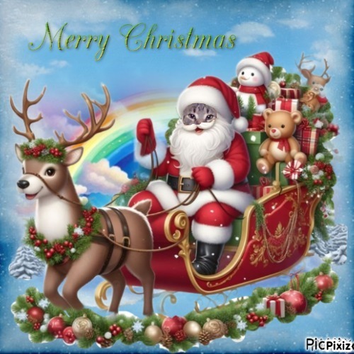 King Cicko of the zoza1958 family