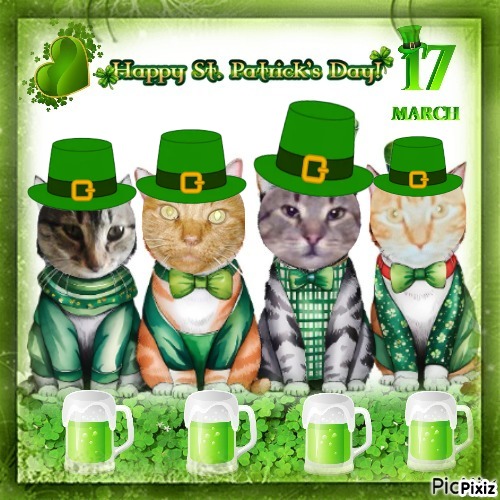 King Cicko of the zoza1958 family