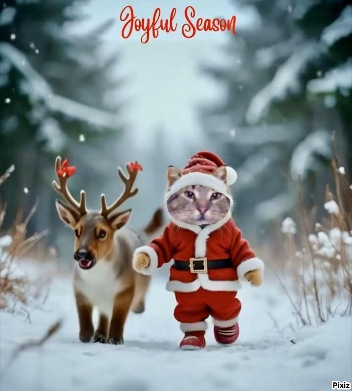 King Cicko of the zoza1958 family