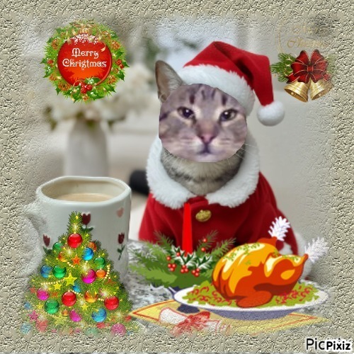 King Cicko of the zoza1958 family