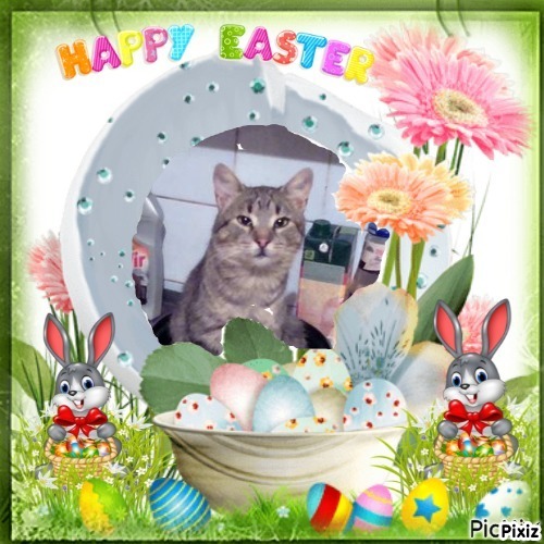 King Cicko of the zoza1958 family