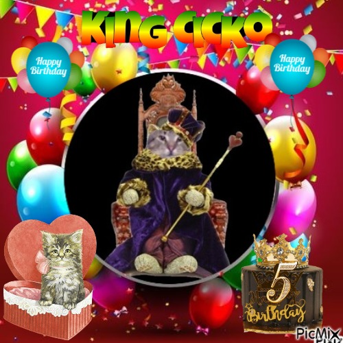 King Cicko of the zoza1958 family