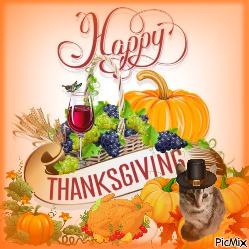 Prince Micko of the zoza1958 family