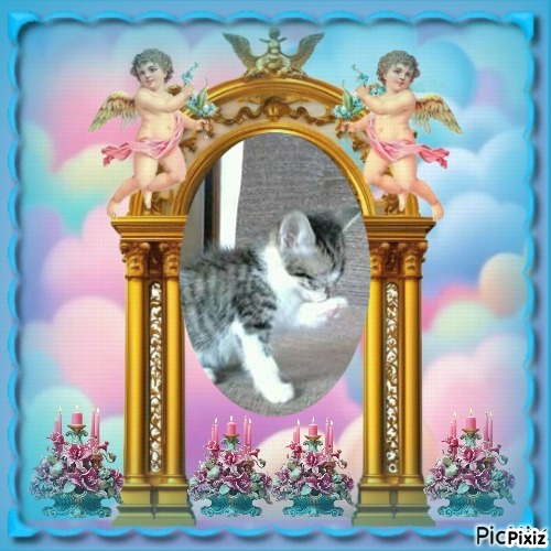 Prince Leo of the zoza1958 family