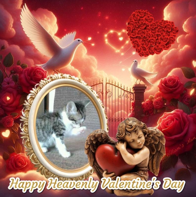 Prince Leo of the zoza1958 family