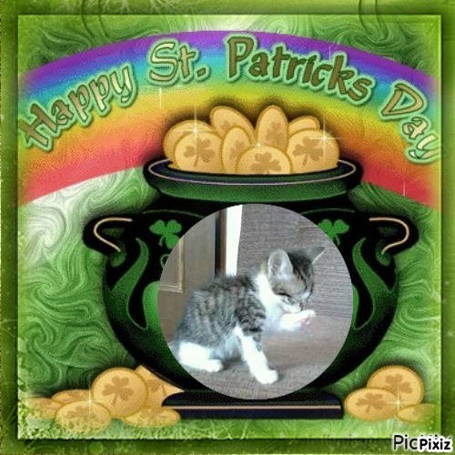 Prince Leo of the zoza1958 family