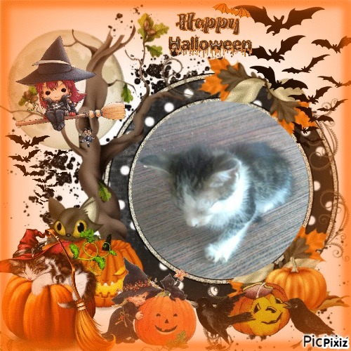 Princess Luna of the zoza1958 family