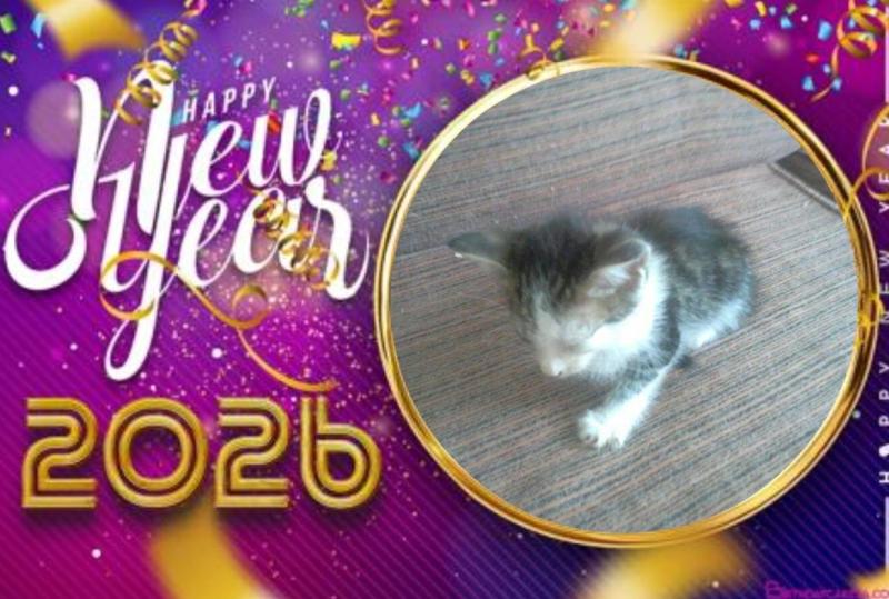 Princess Luna of the zoza1958 family