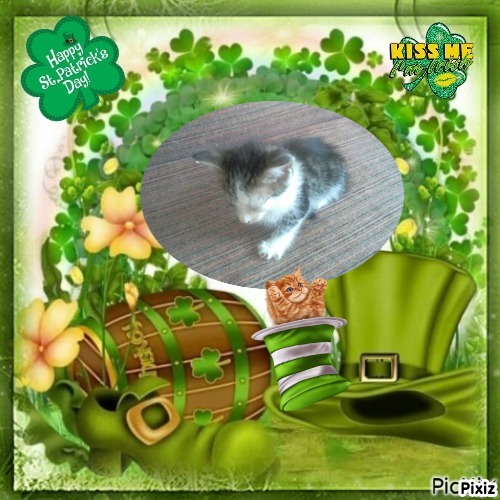 Princess Luna of the zoza1958 family