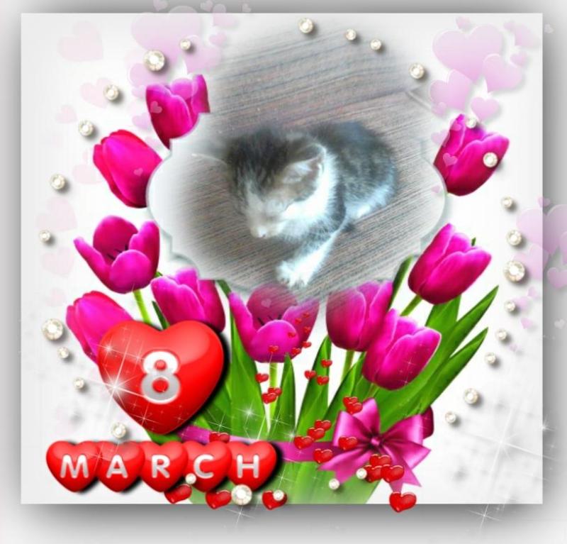 Princess Luna of the zoza1958 family