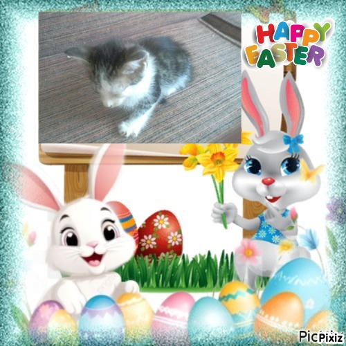 Princess Luna of the zoza1958 family