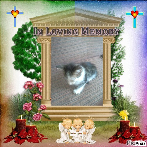 Princess Luna of the zoza1958 family