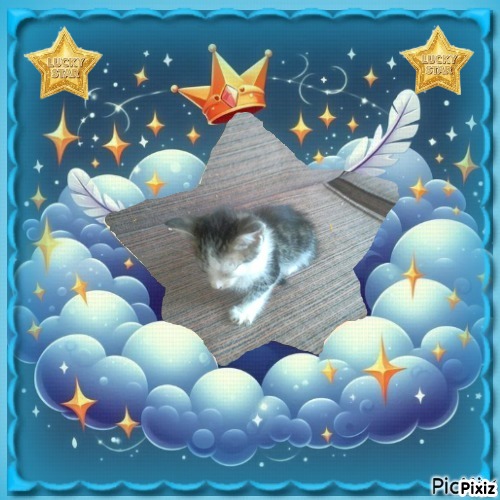 Princess Luna of the zoza1958 family