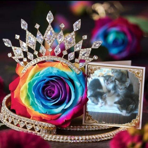 Princess Lili of the zoza1958 family