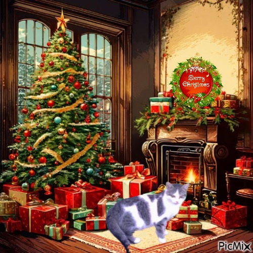 Princess  Taca of the zoza1958 family