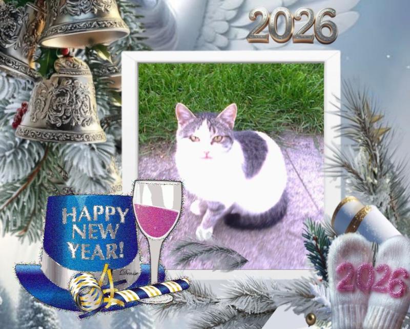 Princess  Taca of the zoza1958 family