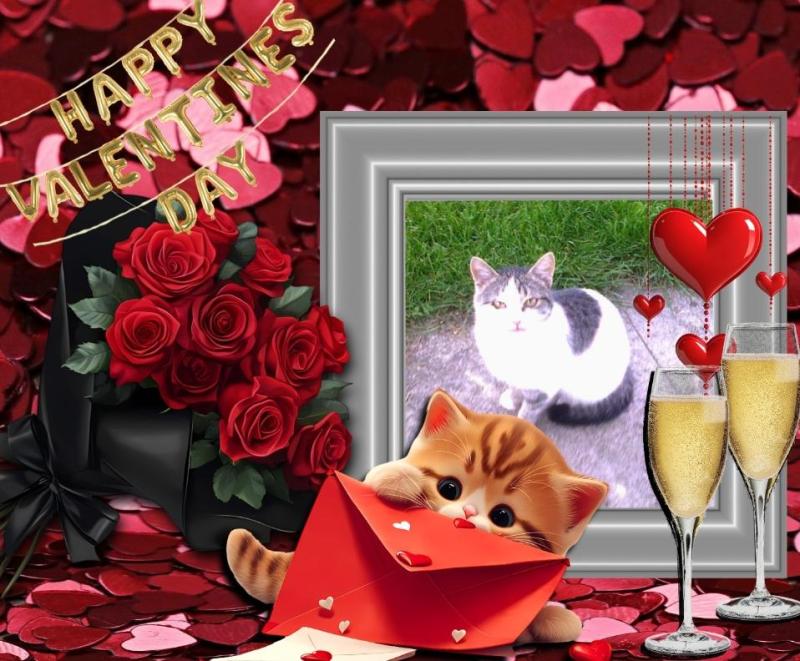 Princess  Taca of the zoza1958 family