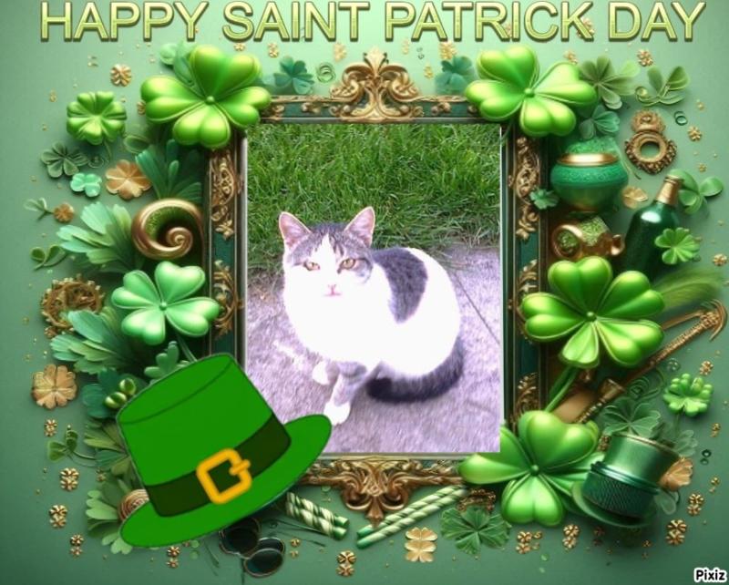 Princess  Taca of the zoza1958 family