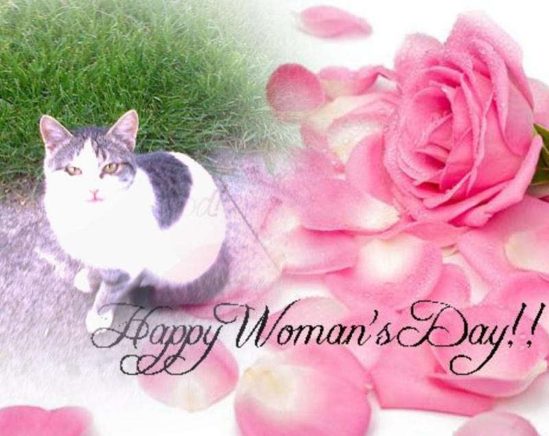 Princess  Taca of the zoza1958 family