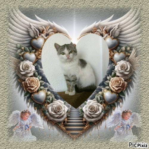 Princess  Taca of the zoza1958 family