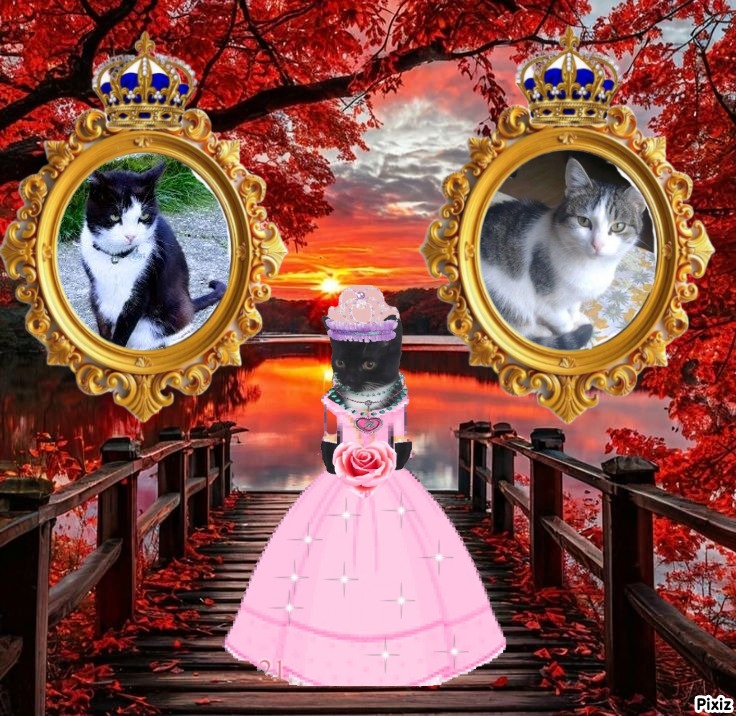 Princess  Taca of the zoza1958 family
