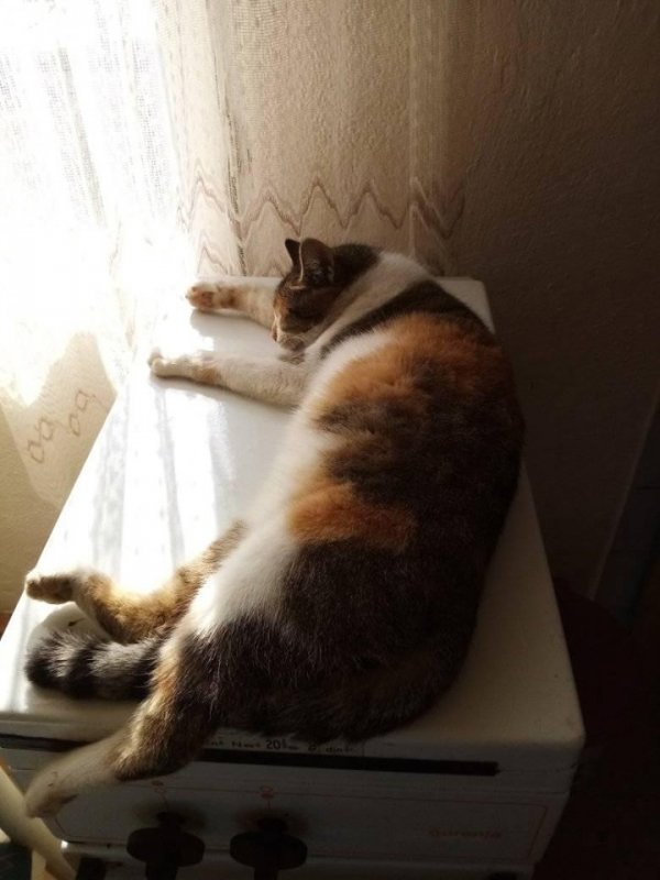 zoza1958 uploaded   6 year/s ago