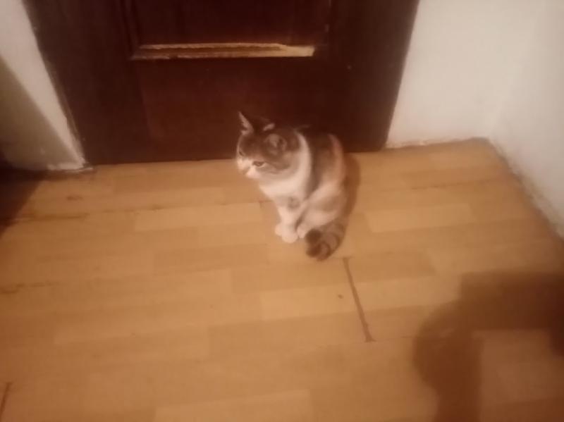 zoza1958 uploaded   178  day/s  ago