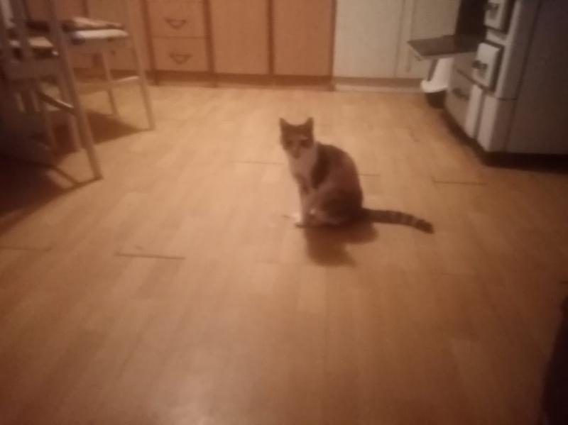 zoza1958 uploaded   316  day/s  ago