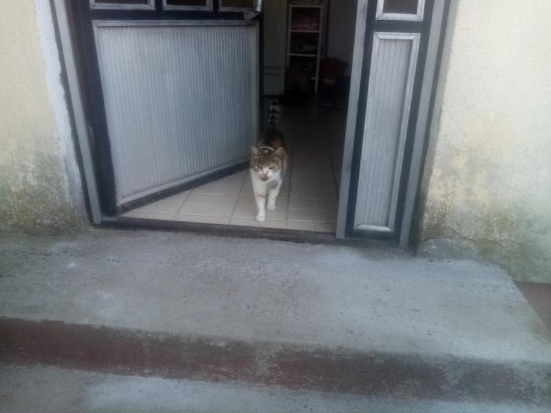 zoza1958 uploaded   252  day/s  ago