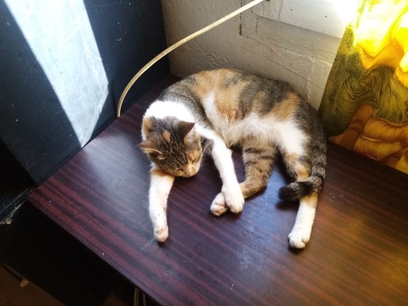 zoza1958 uploaded   5 year/s ago