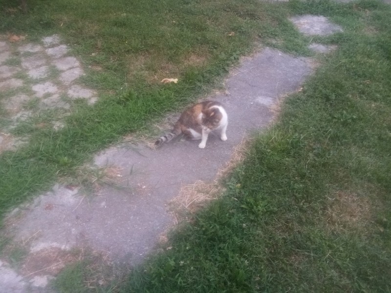 zoza1958 uploaded   292  day/s  ago