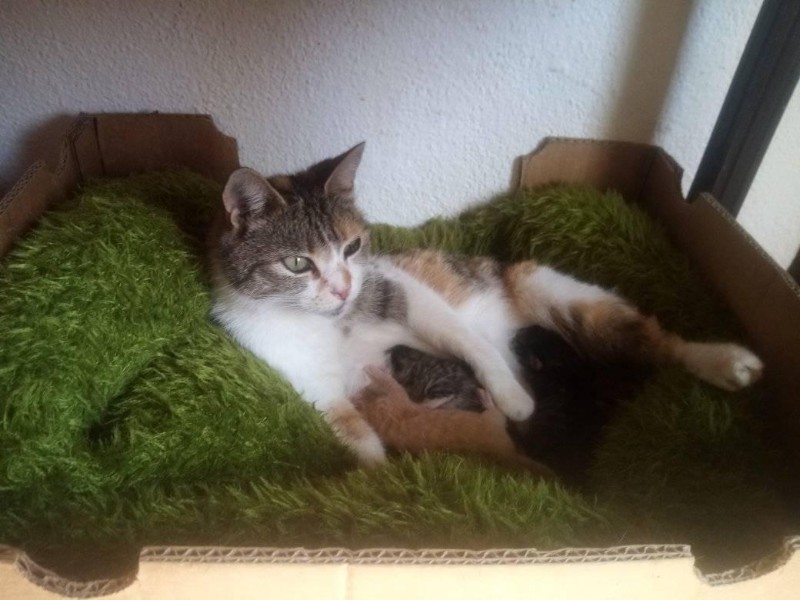 zoza1958 uploaded   4 year/s ago