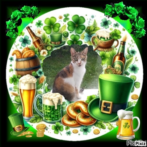 Princess  Mau Mau of the zoza1958 family