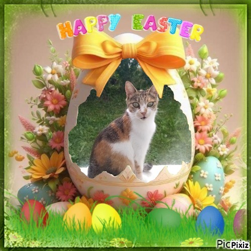 Princess  Mau Mau of the zoza1958 family