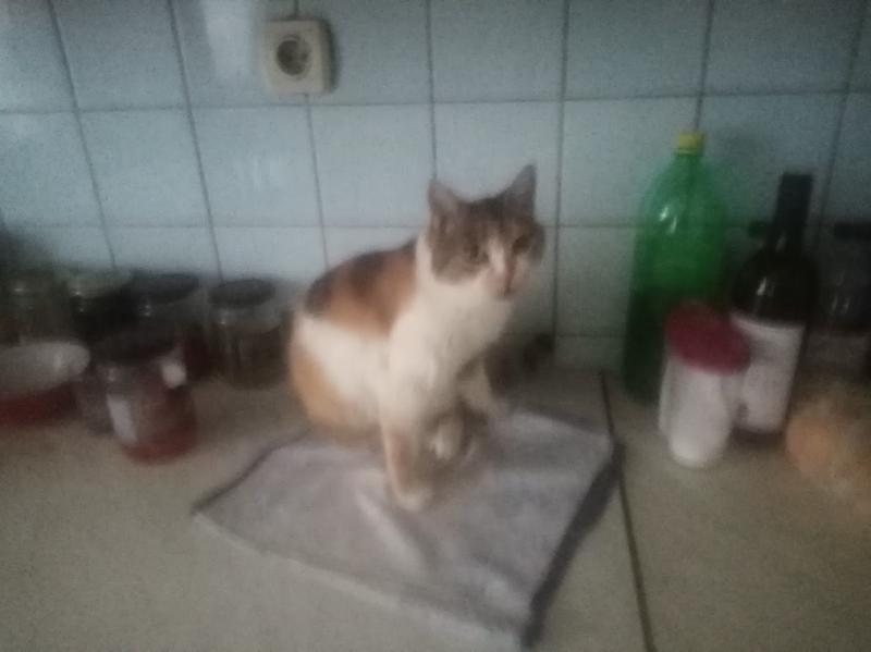 zoza1958 uploaded   1 hour/s ago