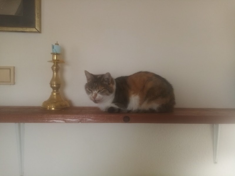 zoza1958 uploaded   72  day/s  ago