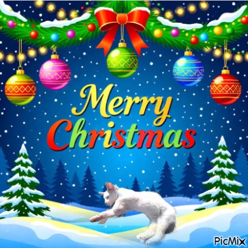 Princess Una of the zoza1958 family