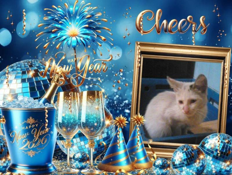 Princess Una of the zoza1958 family