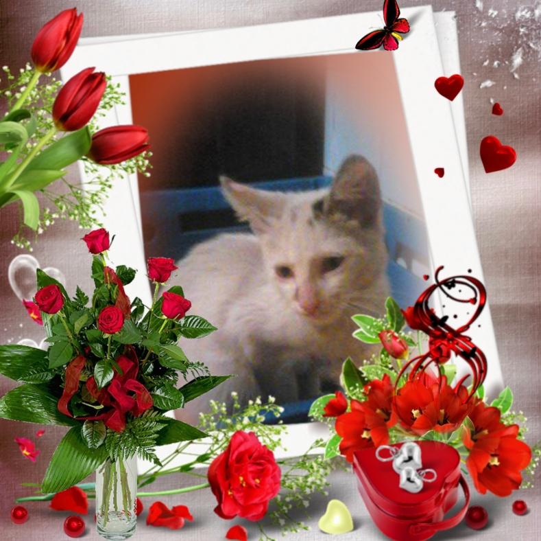 Princess Una of the zoza1958 family