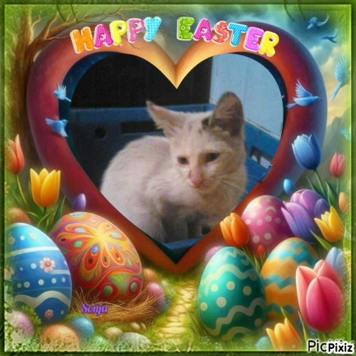 zoza1958 uploaded   6  day/s  ago