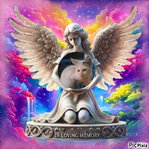 Princess Una of the zoza1958 family