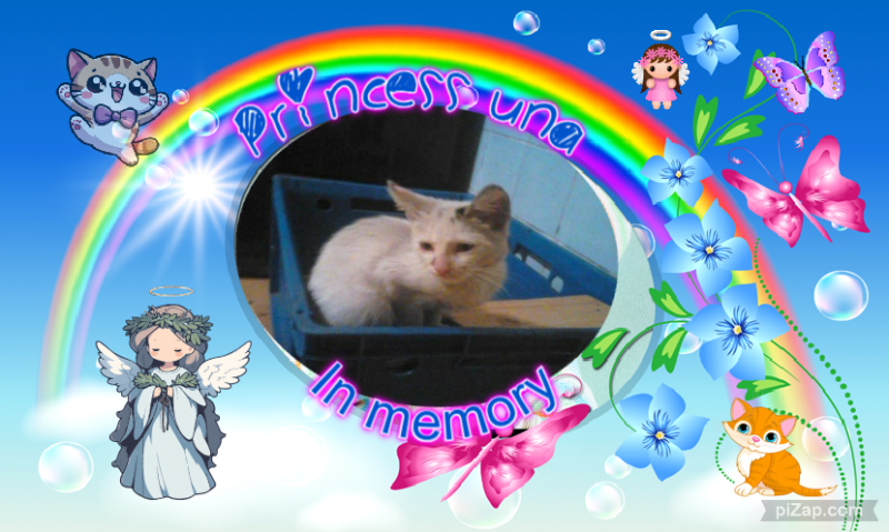 Princess Una of the zoza1958 family