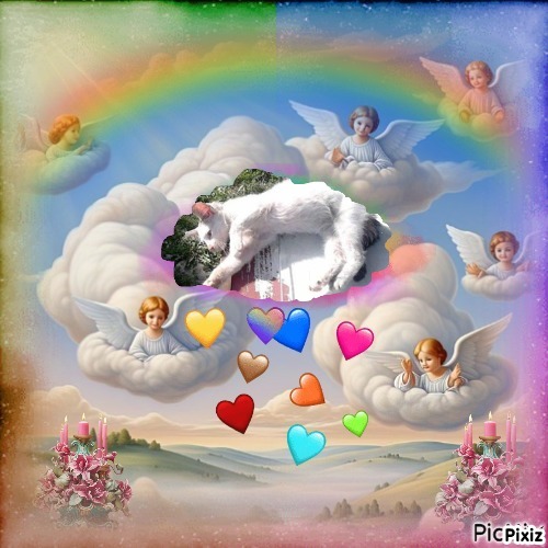 Princess Una of the zoza1958 family