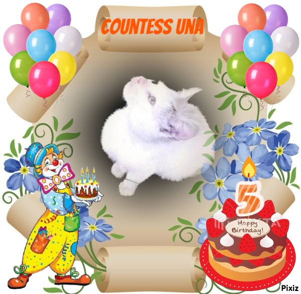 Princess Una of the zoza1958 family